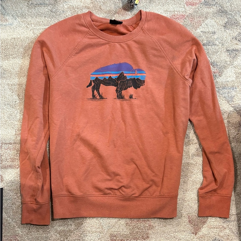 Women’s Patagonia buffalo Sweater